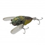 Cicada Origin