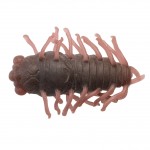 Small Cicada Creature