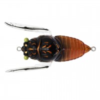 Cicada Jumbo C.JUMBO-123