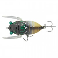 Cicada Origin #052