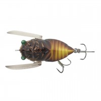 Cicada Origin #062