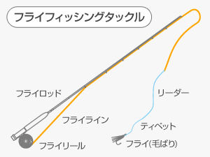 フライフィッシング入門 [基本の道具] | ティムコ