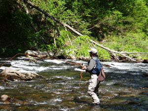 自然河川での釣り方