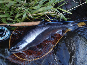 釣りは一生の趣味